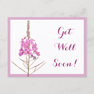 Carte Postale Obtenez bien bientôt jolies fleurs roses belle fle