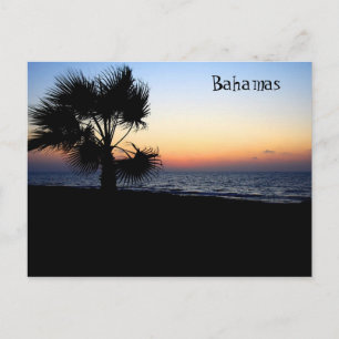 Carte postale Ocean