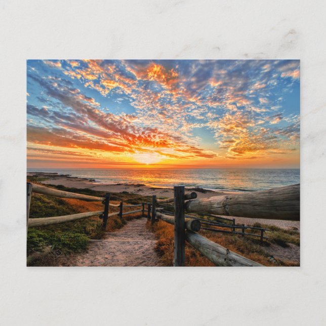 Carte Postale Ocean Beach View (Devant)