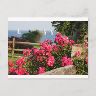 Carte Postale Océan, Fleurs