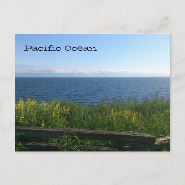 Carte Postale Océan Pacifique (Devant)