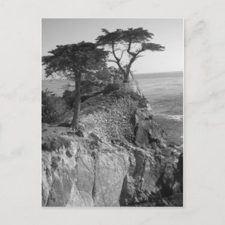 Carte Postale Océan Pacifique