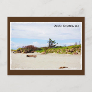 Carte Postale Ocean Shores, Washington Postcard