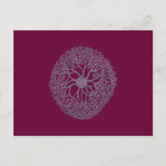 CARTE POSTALE OCEAN URCHIN