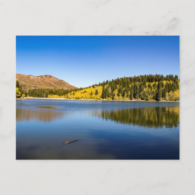 Carte Postale Octobre à Payson Lakes (Devant)