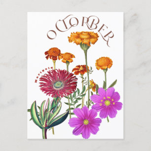 Carte Postale Octobre Mois Fleurs Marigold Cosmos fantaisie