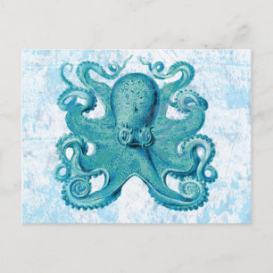 Carte Postale Octopus Marine Vie Océan Animaux Plage Vie