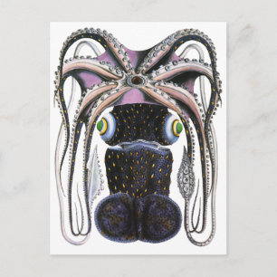 Carte Postale Octopus ou calmar géant vintage, animal marin