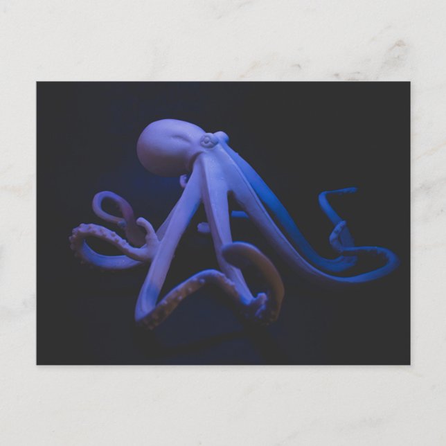 Carte Postale Octopus pourpre (Devant)