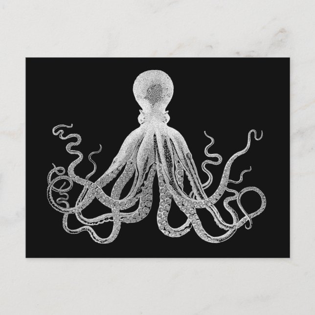 Carte Postale Octopus vintage (Devant)