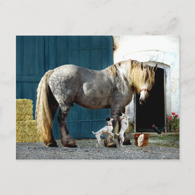 Carte Postale "Odin & The Twins" (Devant)