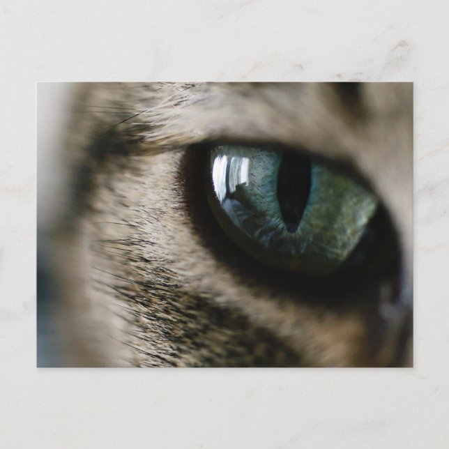 Carte postale oeil de chat (Devant)