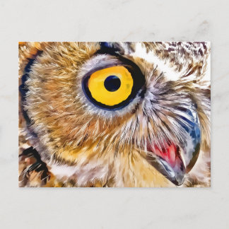 Carte Postale Oeil de hibou