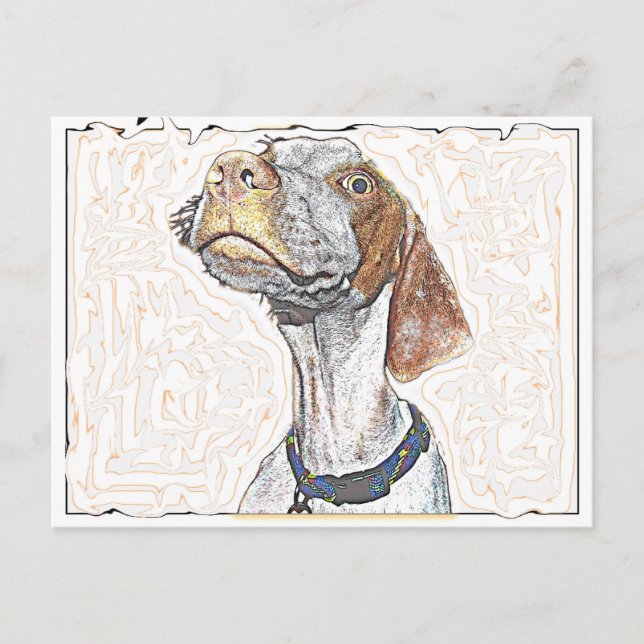 Carte Postale Oeil fou (Devant)