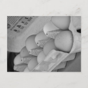 Carte Postale Oeufs frais