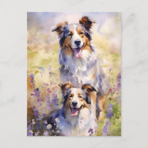 Carte Postale OEuvre colorée d'aquarelle Australian Shepherd