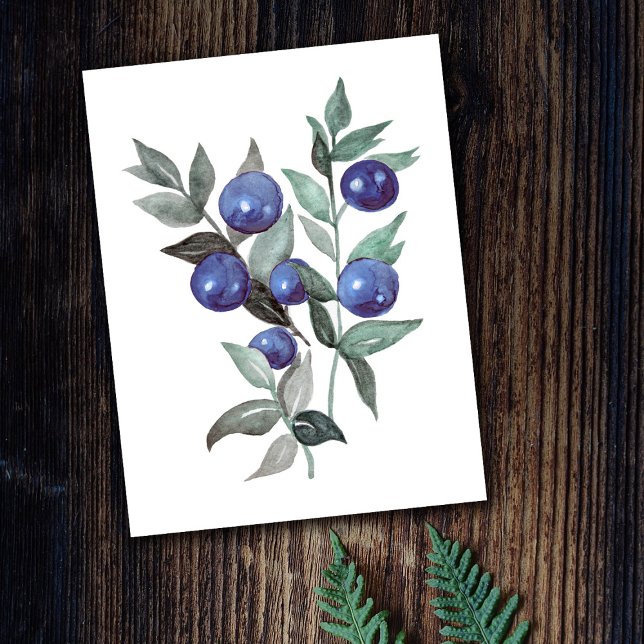 Carte Postale Oeuvre d'aquarelle aux fruits bleus (Créateur téléchargé)