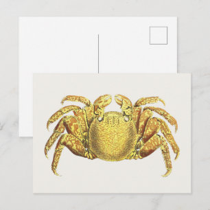 Carte Postale Œuvre d'art côtière nautique vintage crabe variegé