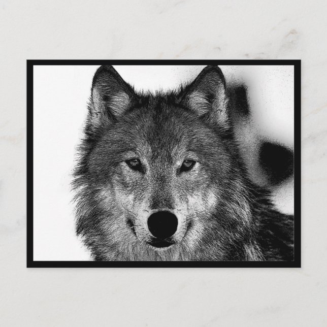 Carte Postale Œuvre d'art Loup Noir & Blanc (Devant)