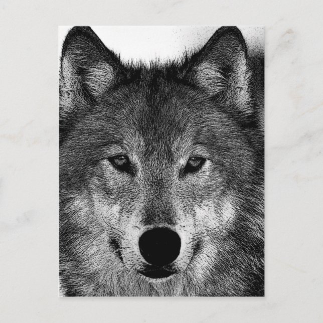 Carte Postale Oeuvre de Loup noir et blanc (Devant)