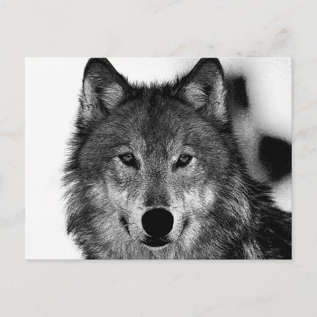 Carte Postale Oeuvre de Loup noir et blanc (Devant)
