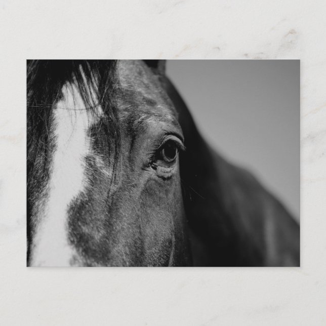 Carte Postale OEuvre d'oeil noir blanc (Devant)