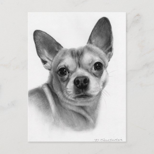 Carte Postale Oeuvre réaliste Chihuahua Peinte à la main (Devant)