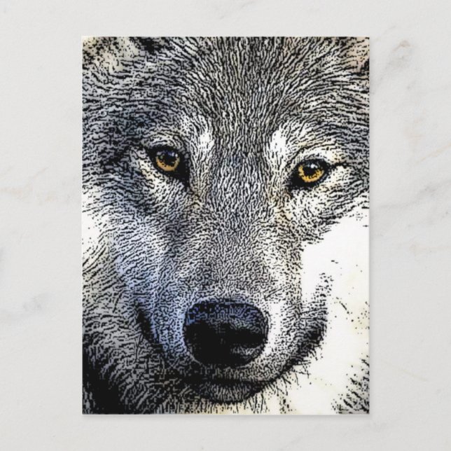 Carte Postale OEuvre Wolf Eyes (Devant)