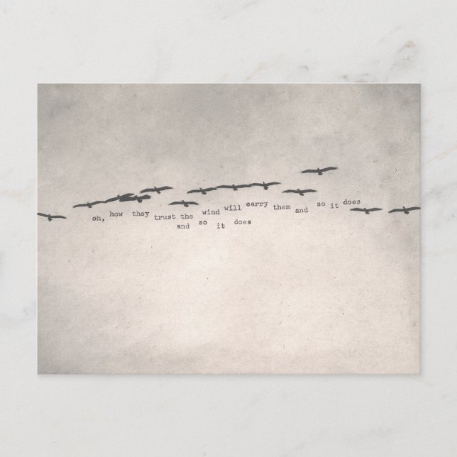 Carte Postale "oh, comment ils font confiance " (Devant)