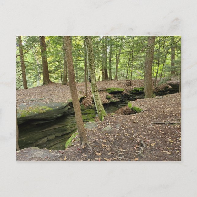 Carte postale OH des Ledges, Cuyahoga Valley Nat'l (Devant)