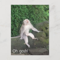Oh mon dieu singe