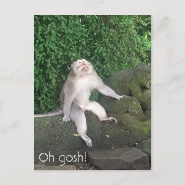 Carte Postale Oh mon dieu singe (Devant)