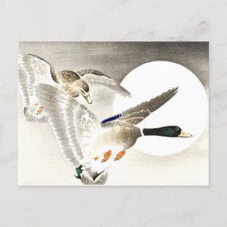 Carte Postale Ohara Koson Japonais Deux Canards À La Pleine lune