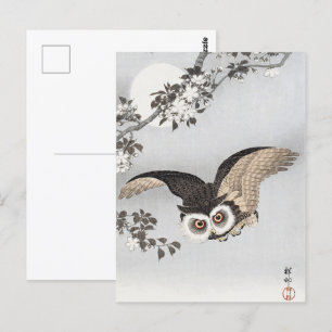 Carte Postale Ohara Koson Scops Owl Cherry Blossoms & Moon