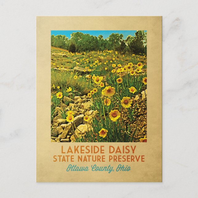 Carte Postale Ohio Lakeside Daisy Preserve (Devant)