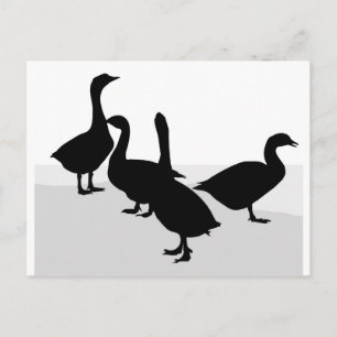 Carte Postale Oie