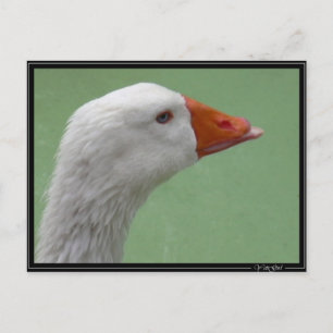 Carte Postale oie1