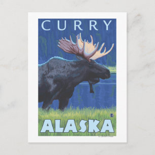 Carte Postale Oie à la nuit - Curry, Alaska
