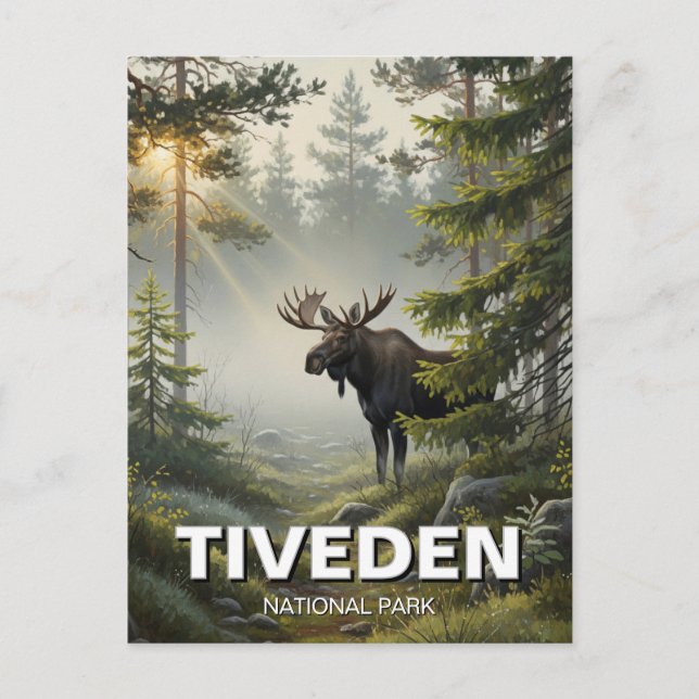 Carte Postale Oie dans le parc national de Tiveden Suède Voyage (Devant)