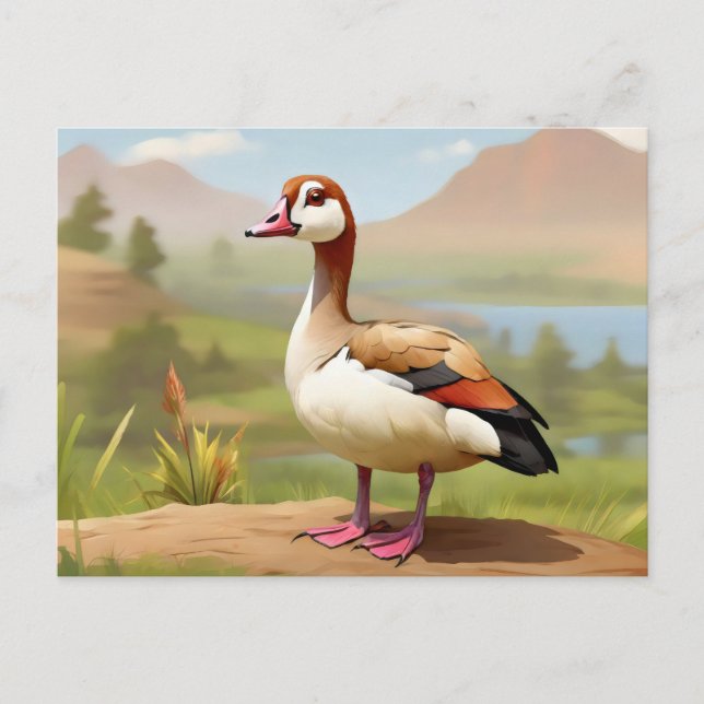 Carte Postale Oie égyptienne par eau (Devant)