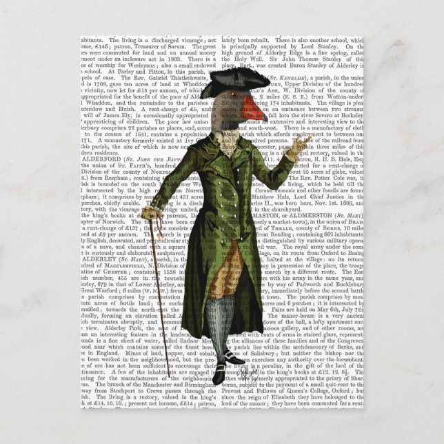 Carte Postale Oie en Vert Régence Manteau 2 (Devant)