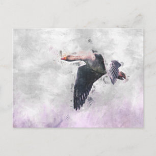 Carte Postale Oie grise volante