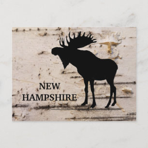 Carte Postale Oie silhouette noire sur écorce de bouleau