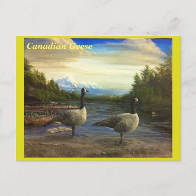 Carte Postale Oies canadiennes au lac Beaver. -Carte postales (Devant)