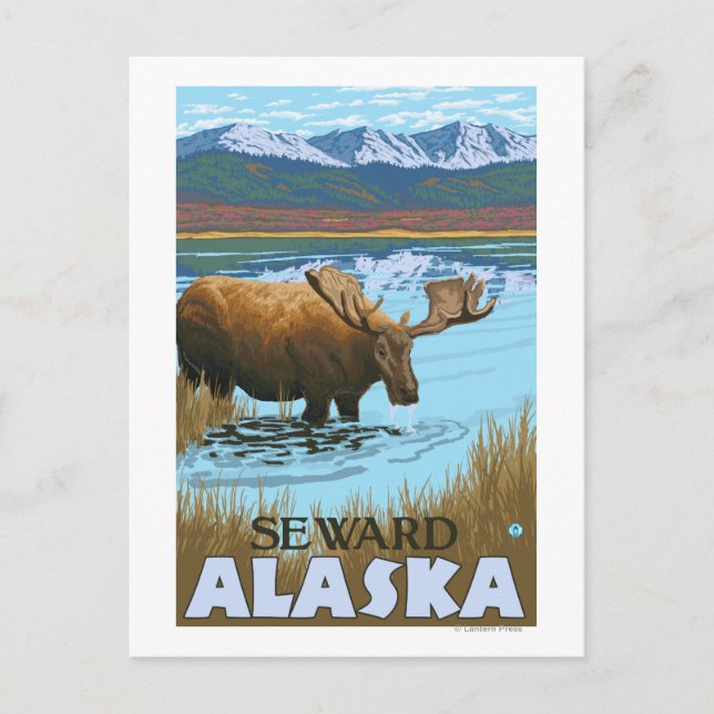 Carte Postale Oies qui boivent au lac - Seward, Alaska (Devant)