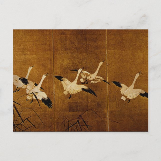 Carte Postale Oies sauvages (Devant)