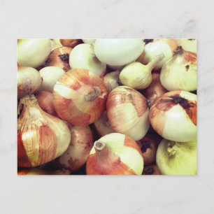 Carte postale Oignons doux
