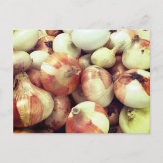 Carte postale Oignons doux