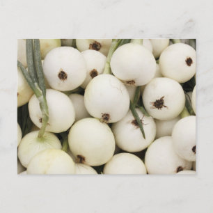Carte Postale Oignons doux Walla Walla