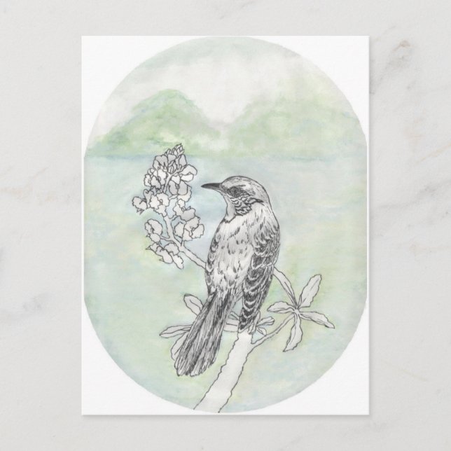 Carte Postale Oiseau (Devant)